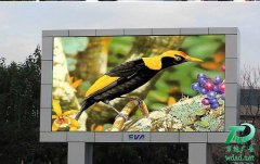 ����LEDȫ���@ʾ������